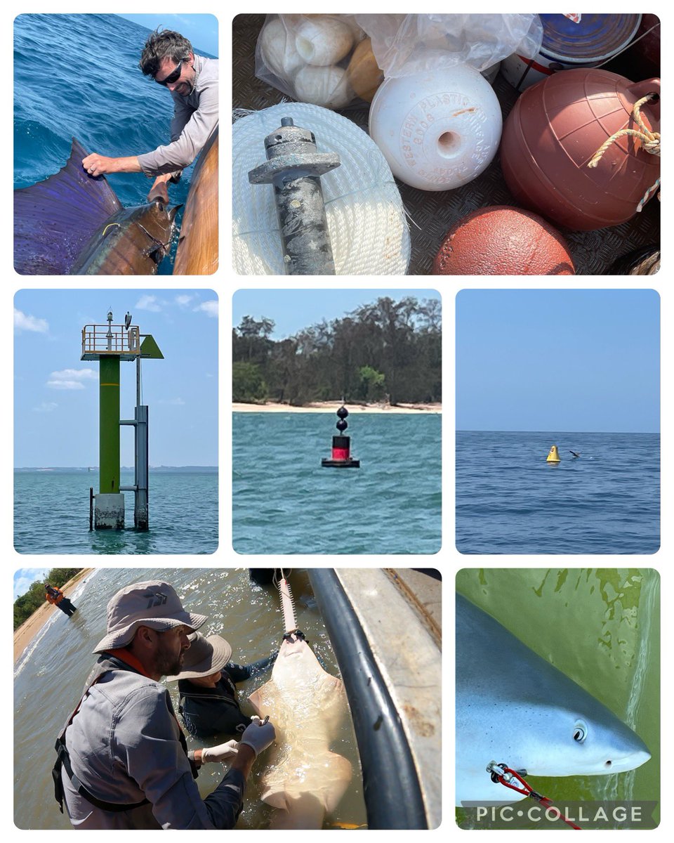 Anyone out there in the twitterverse have advice/inspiration for deploying acoustic receivers/marine loggers on existing marine infrastructure (nav aids, wave riders buoys etc)?? @Innovasea @OceanTracking @IMOSAnimalTrack @AquaticTracking @ATAP_ZA #trackingnotslacking