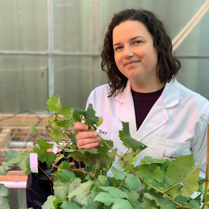 Shhh...!🤫 We're working on a way to silence fungus.

Our clever researcher, Dr Tory Clarke is developing an RNAi (gene silencing) based crop protectant spray to protect wine grapes from botrytis diseases. 🍇

Find out more: ow.ly/PGkP50Q0qUS