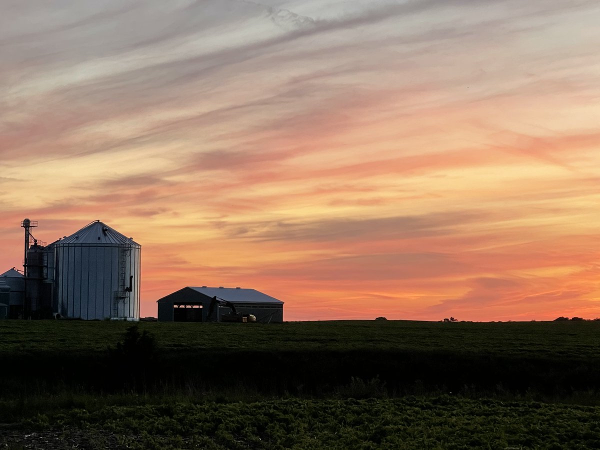 Susan Quaggin tweet media