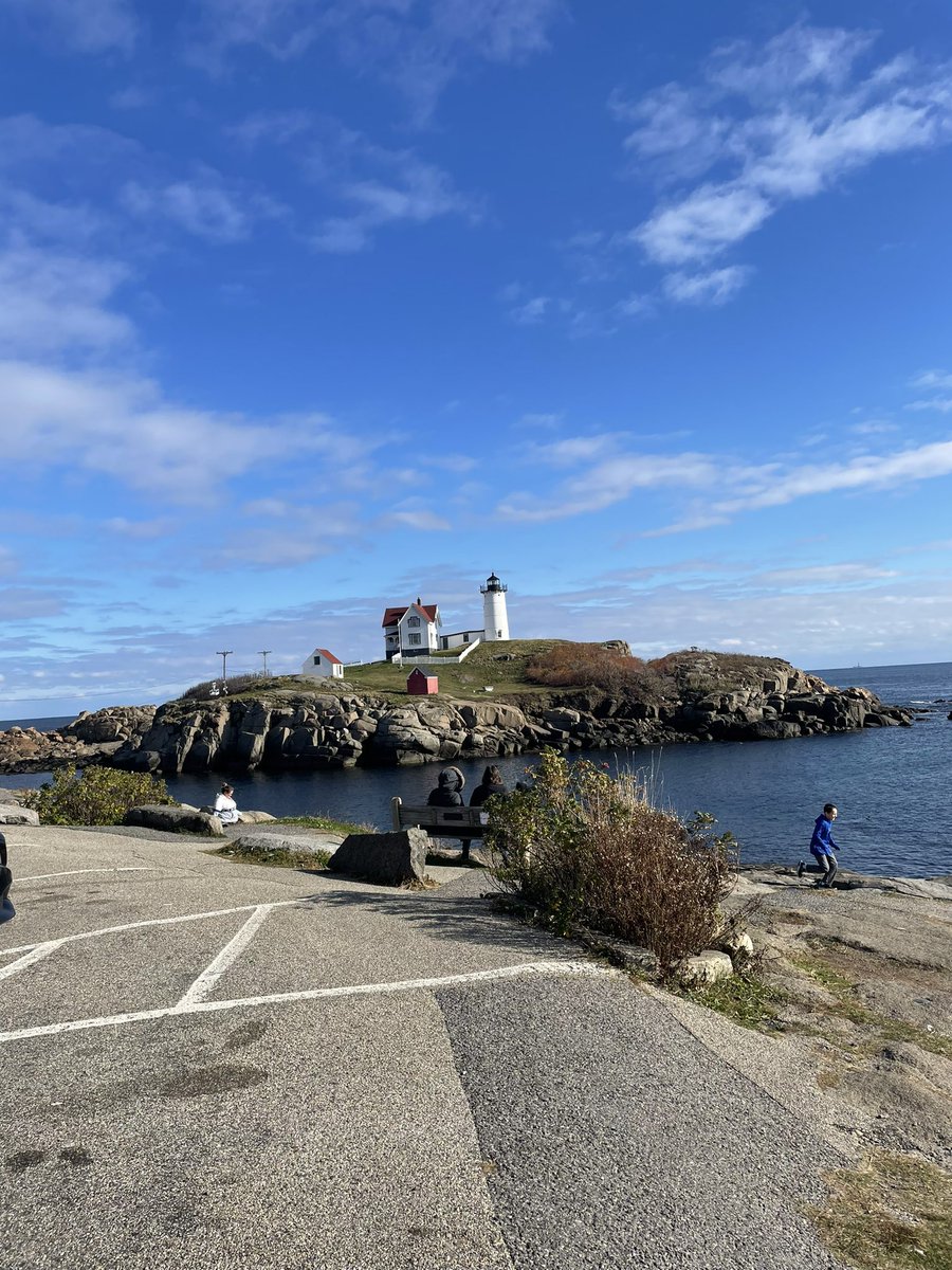 Madelynn Orosz tweet media