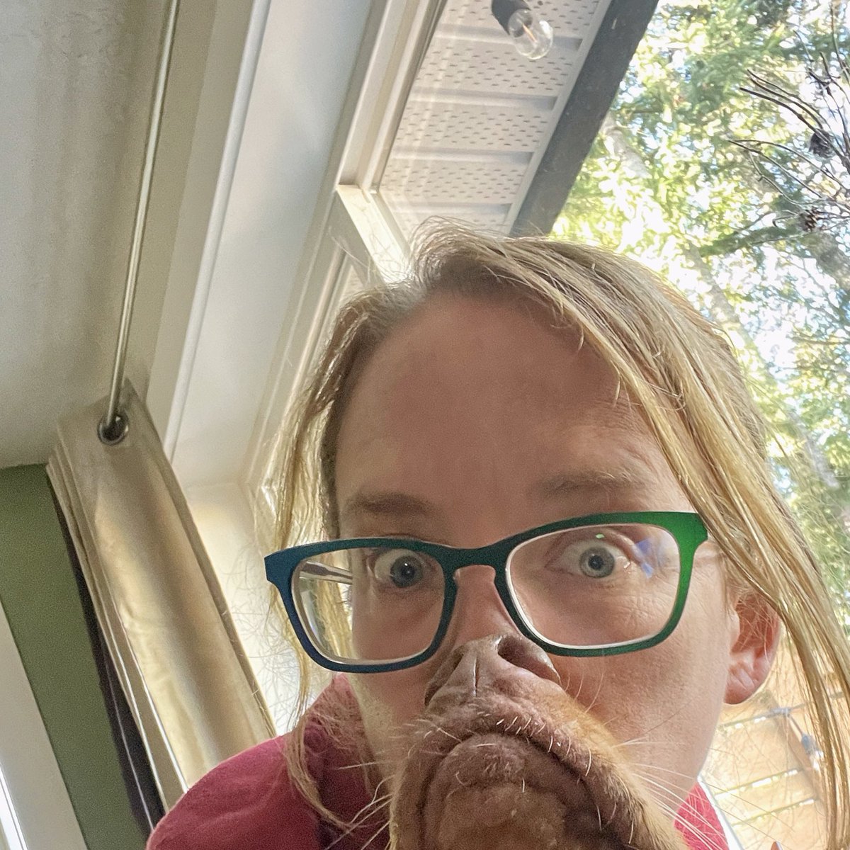 rhondacallow's tweet photo. I think my ‘stache is coming in quite nicely, don’t you? 😆

We’re 13 days into #Movember so I thought I’d share an update. I’ve raised $230 of my $500 goal and my Shawnigan Lake Fire Department team has raised $600 of our $3000 goal. 👊
1/2 https://t.co/KS5OaSyfa4