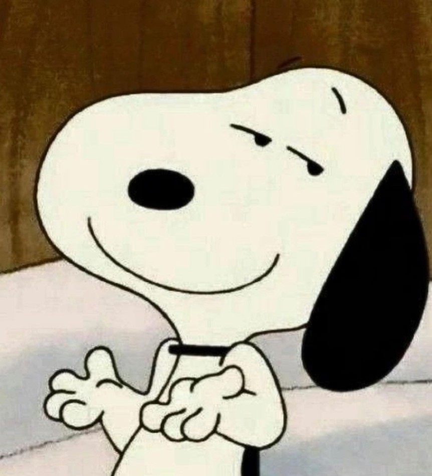 jose @ petting a TSA dog tweet media