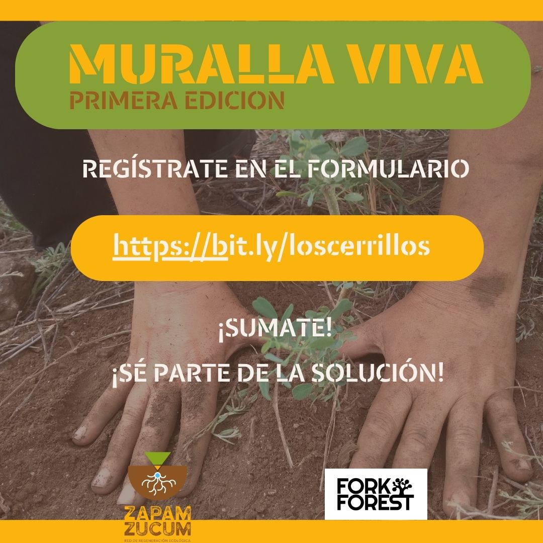 Fork Forest 2: Cortina forestal en Los Cerrillos

• forest.forkdaogov.xyz

• forum.forkdaogov.xyz/t/fork-forest-…

• builder.gitcoin.co/#/chains/10/re…