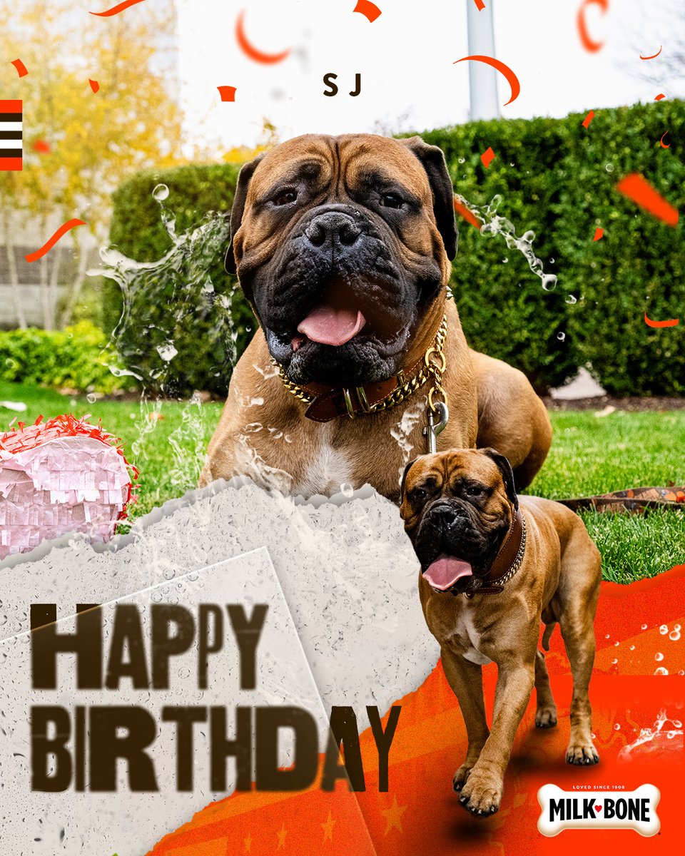 wishing a very happy birthday to everyone's favorite dawg, SJ! 🐶