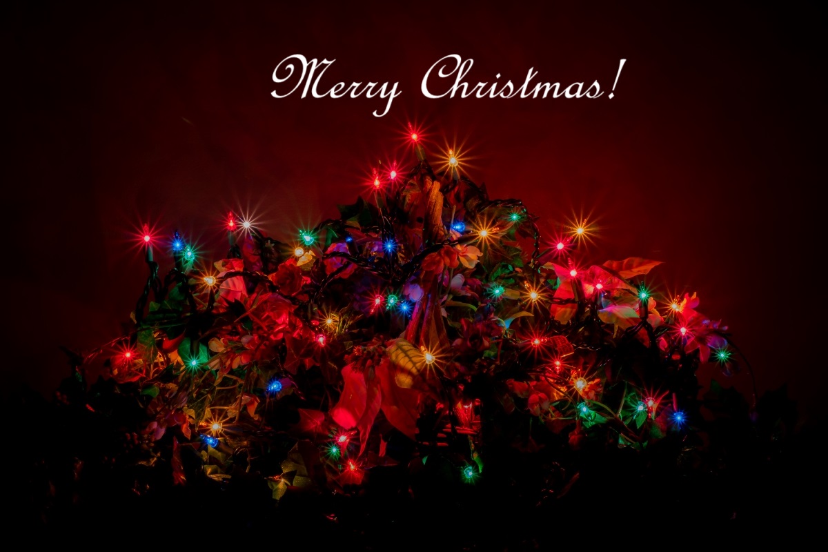 Holiday Lights on Basket Christmas Card on sale now 20%off! linda-howes.pixels.com/featured/holid… #Christmascard #MerryChristmascard #Coloredlightcard #photographycards #photographyholidaycards #holidaycards