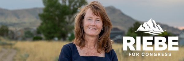 we the people (#wtpBLUE) tweet media