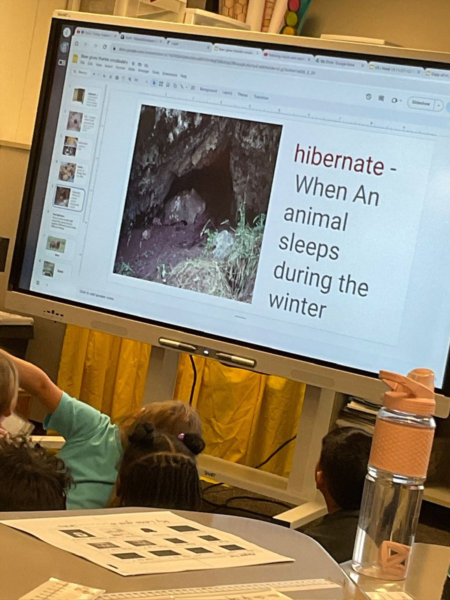 Willow Creek Elementary tweet media