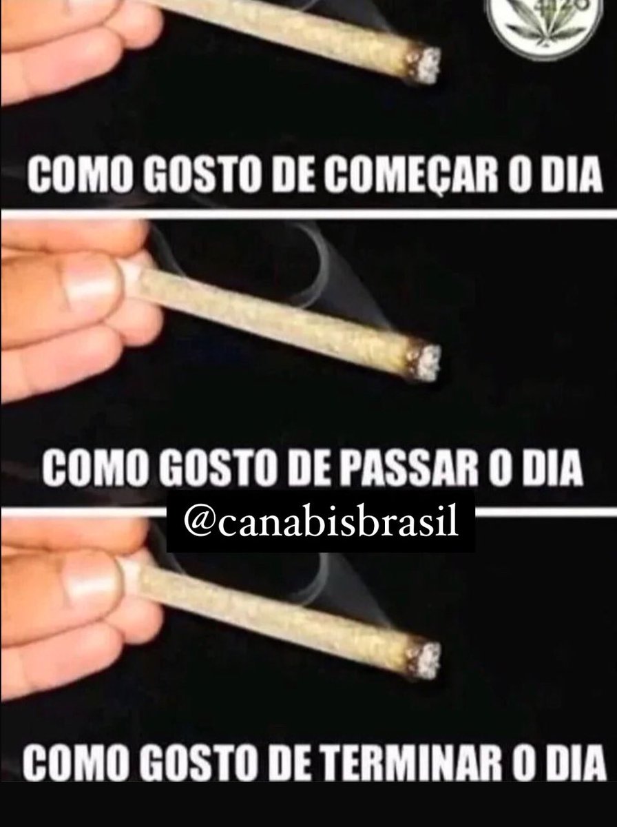 Cannabis Brasil (@canabisbrasil) on Twitter photo 