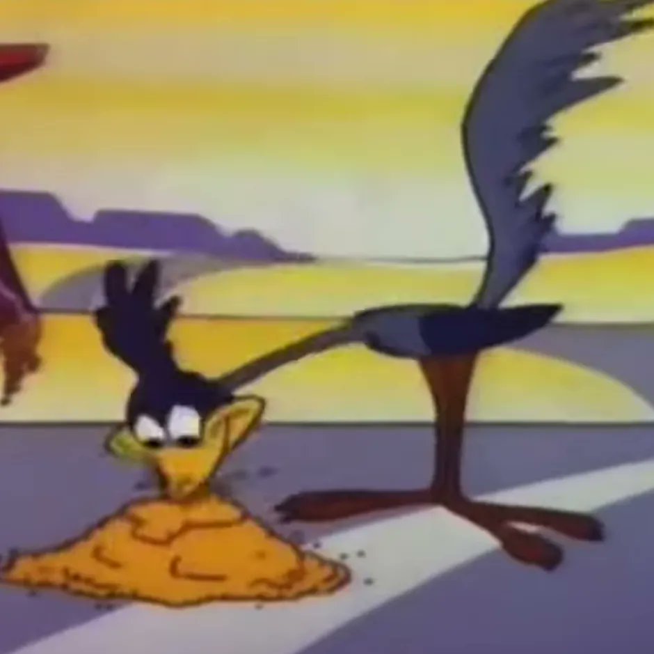 Road_Runner1949's tweet photo. Day 597 BEEP BEEP I'm just enjoying some fresh bird seed Wile left for me.
#RoadRunnerLooneyTunes
#LooneyTunesRoadRunner
#Road_Runner1949
#daily
#Day597
#DailyDoseofRoadRunner
#DailyDose
@Road_Runner1949 https://t.co/VVjBwktBBV