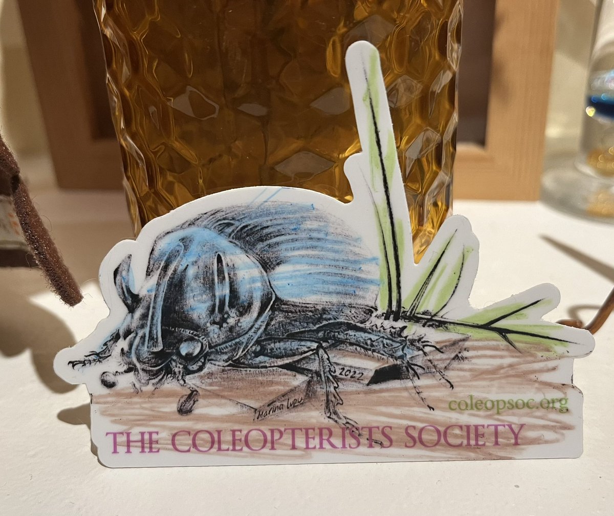 PatrickGorring's tweet photo. @ColeopSoc my 7yo son Sawyer decided the sticker deserved a bit of color! https://t.co/JJklhkOiax