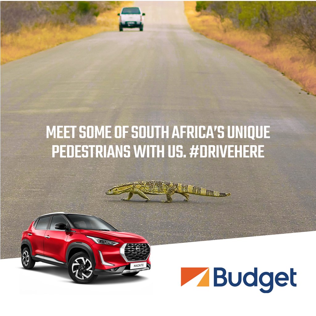 Your South African holiday will not be complete without you driving on one of the many up, down, curving left or right and going straight forever scenic roads. Book with Budget Car Hire on bit.ly/3RXEZYj now and go enjoy an amazing drive. #DriveHere #HitTheRoad #GoSeeSA