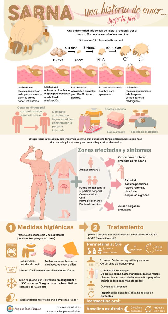 La #sarna o escabiosis es una enfermedad infecciosa de la piel producida por el parásito (ácaro) Sarcoptes escabiei variedad hominis.

¿Sabías que la causante de la enfermedad es la hembra adulta?

Todo lo que debes saber 👇🏻

mtr.cool/stkuumcuvc