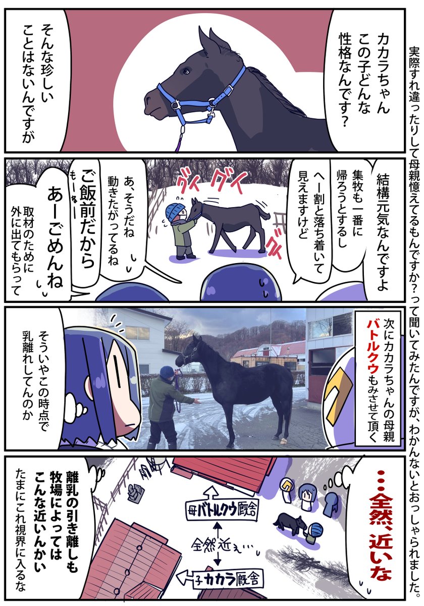 【前編】北海道旅行に行きました【22年12月】(4/5)