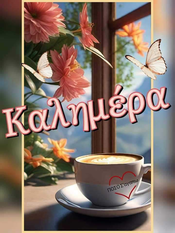anthimanou's tweet photo. https://t.co/4hEuMELcOQ