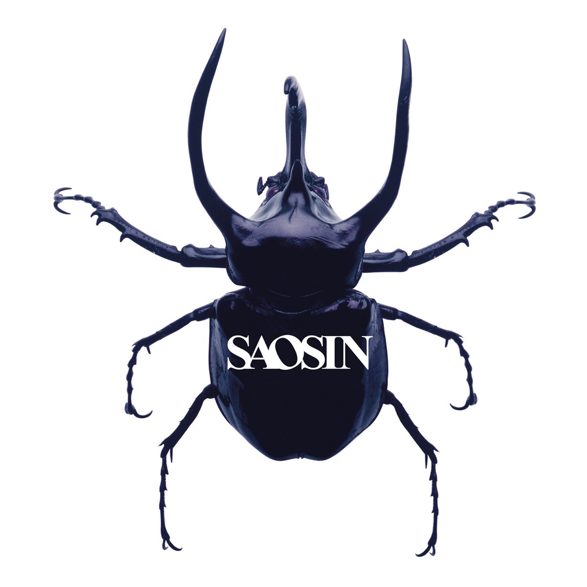 Saosin tweet picture