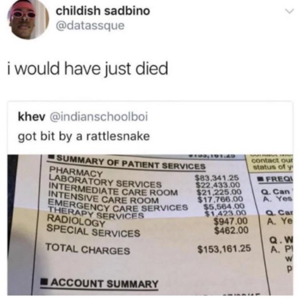 star 💫 tweet media