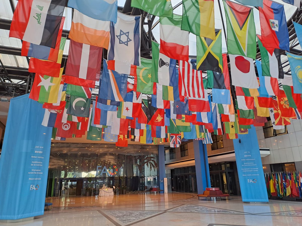 Final Conference at FAO, Rome