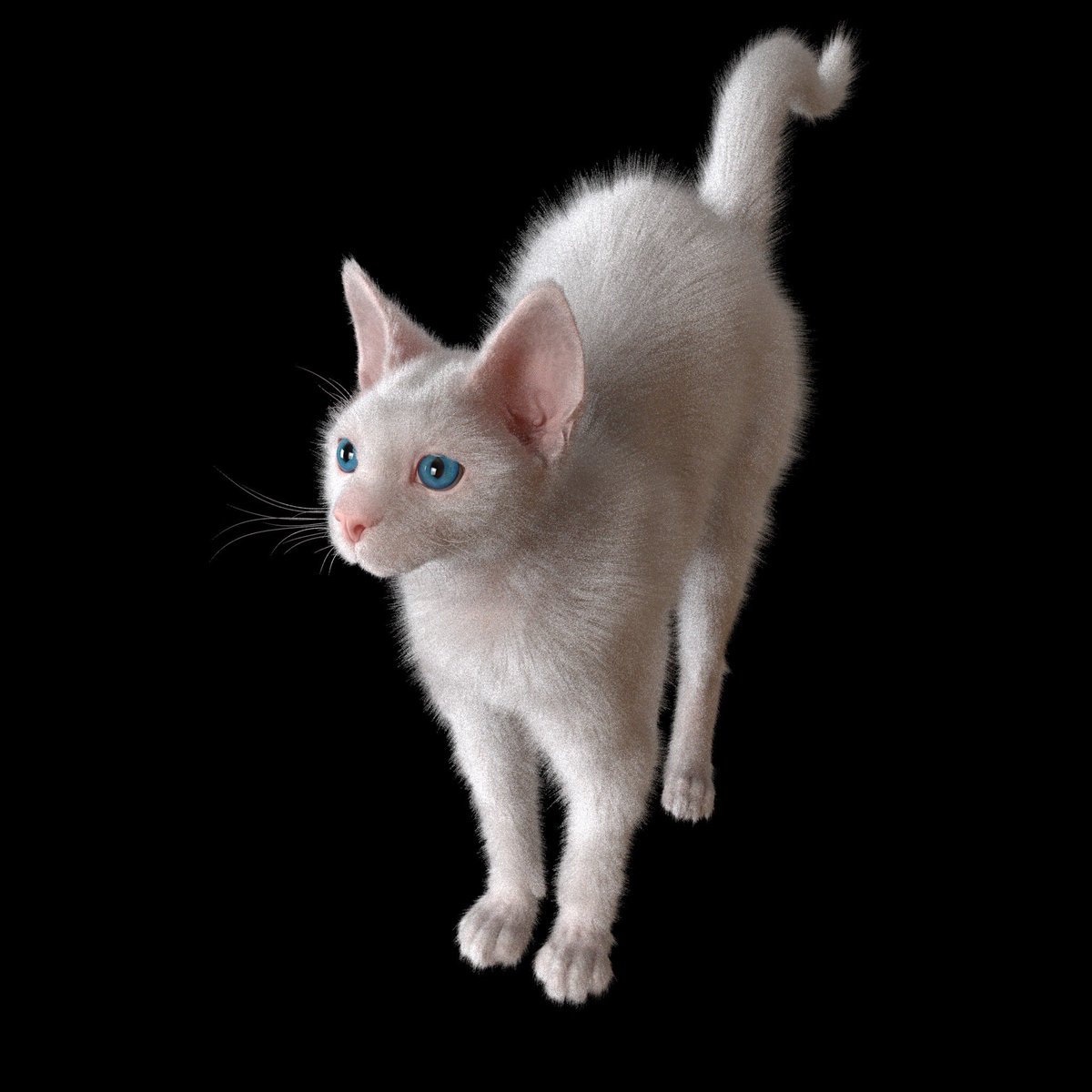 shakepass's tweet photo. Next task: Adjusting the flow of fine hairs and adding ear hair...

#cat #art #zBrush #Maya https://t.co/uslOVsmRlA