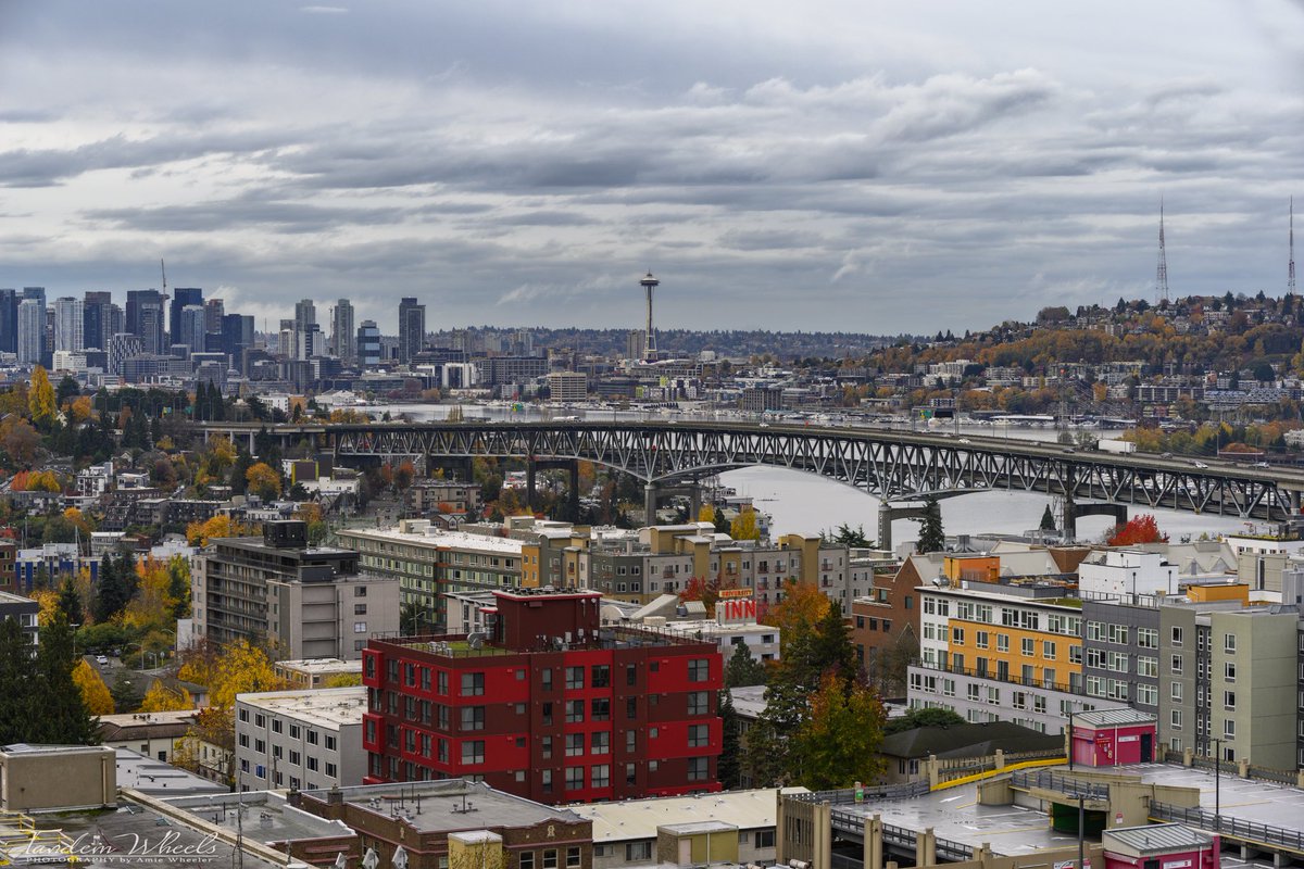 Autumn in Seattle 

I had a great view of the city while visiting 🏙️ 

#pnw #sonorthwest #Autumn #fallcolors #autumn2023 #ThePhotoHour #wawx @space_needle
