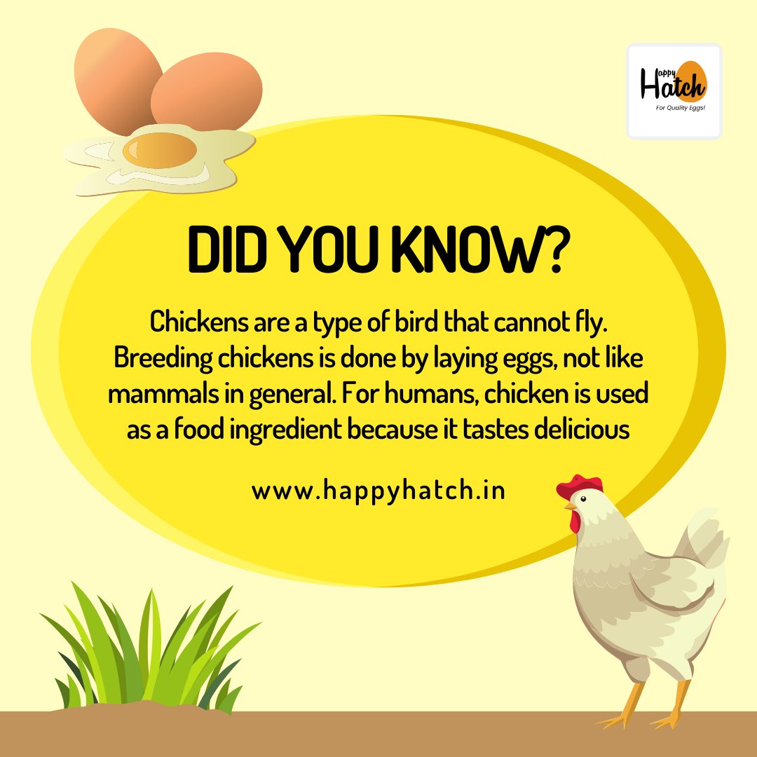 Did you know ?
happyhatch.in
#happyhatch #brownegg #eggfast #nutrientdense #eggs #namakalegg #eggfood
