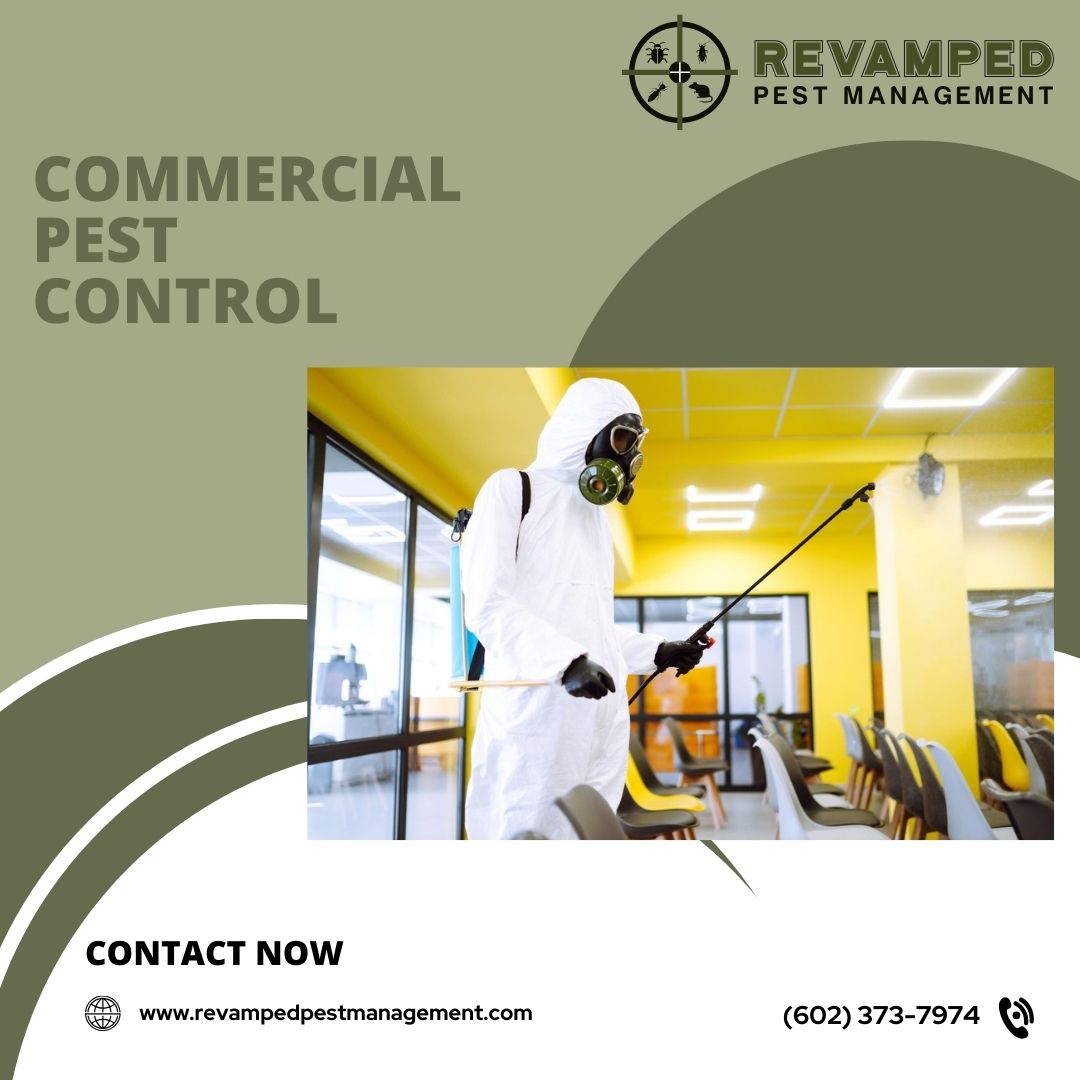 Revampedpest's tweet image. With our commercial pest control services, you can keep your business safe and pest-free.
#generalpestcontrol #emergencypestcontrol #commercialpestcontrol #rodentcontrol #atticinsulation #pestcontrol #specialoffer #pricedrop