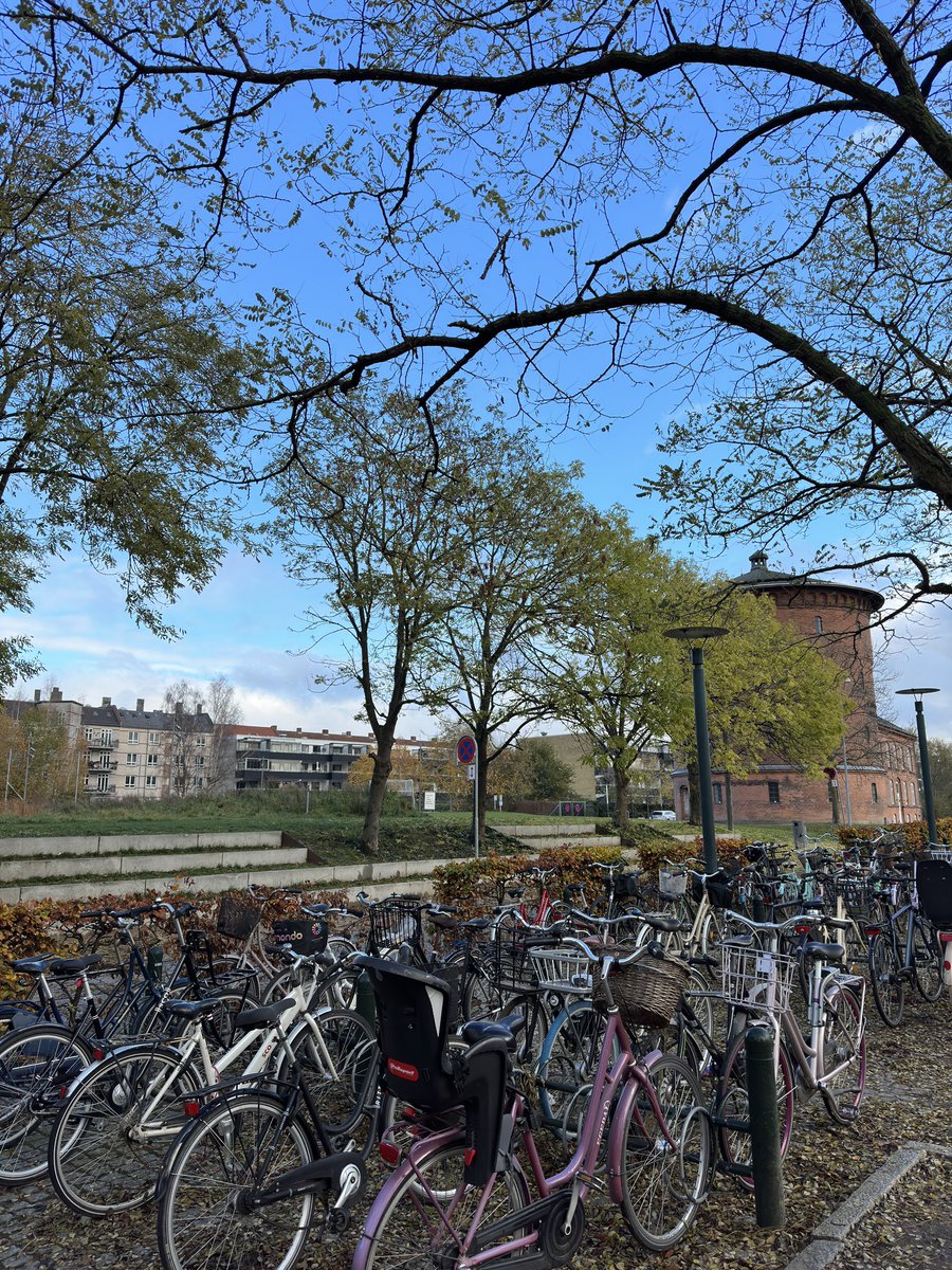 benjaminzer's tweet image. I&apos;m sold 🇩🇰