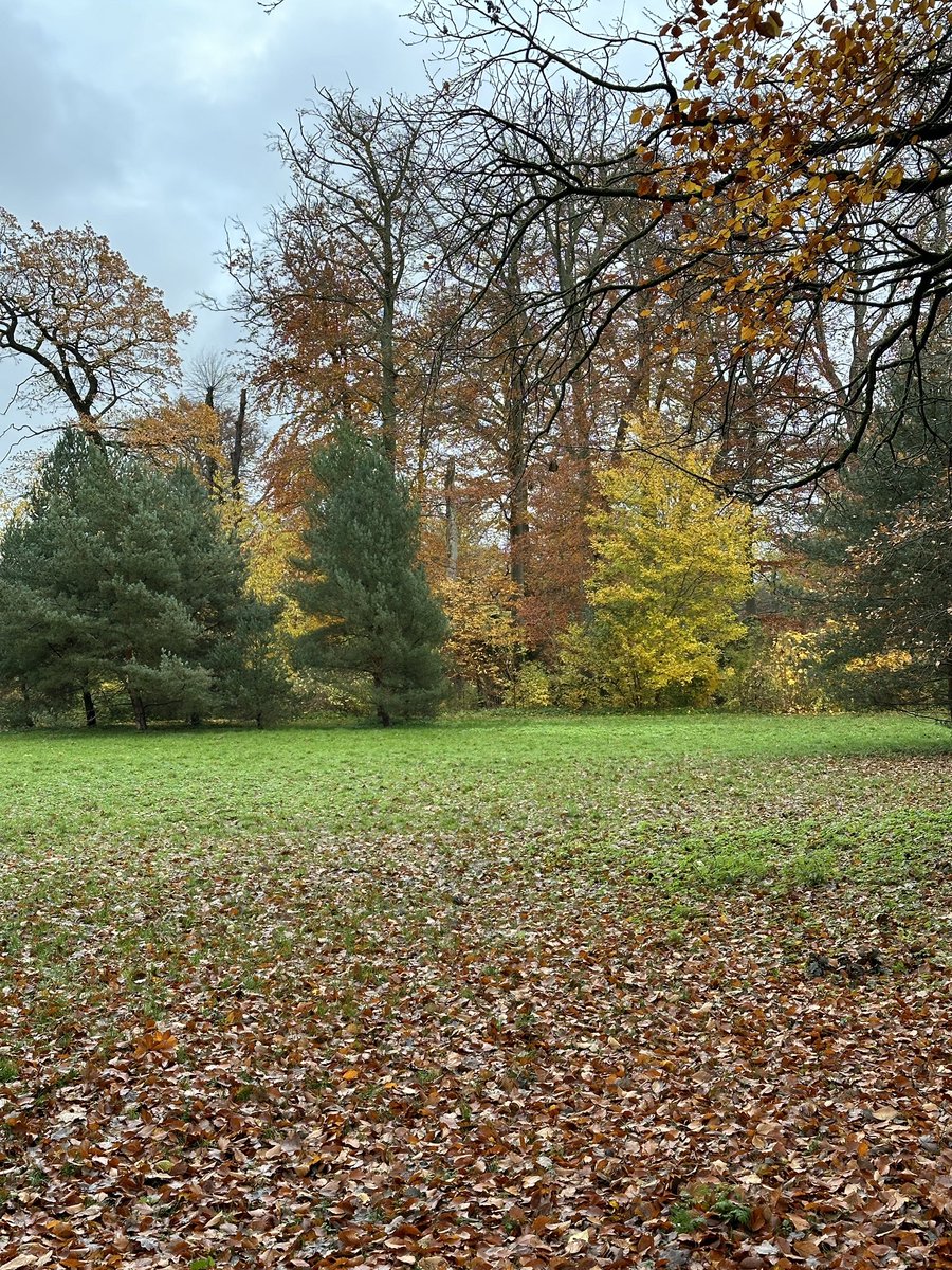 benjaminzer's tweet image. I&apos;m sold 🇩🇰