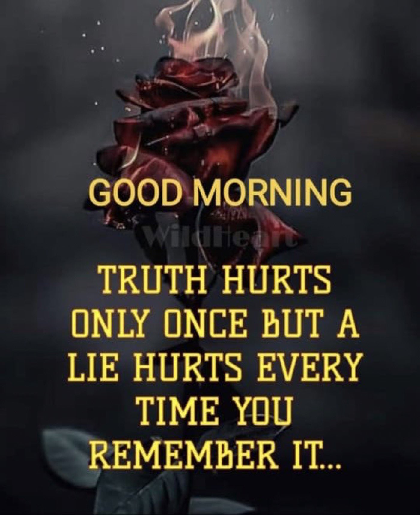 The Truth Hurts Once But A Lie Trudi Hyacinth