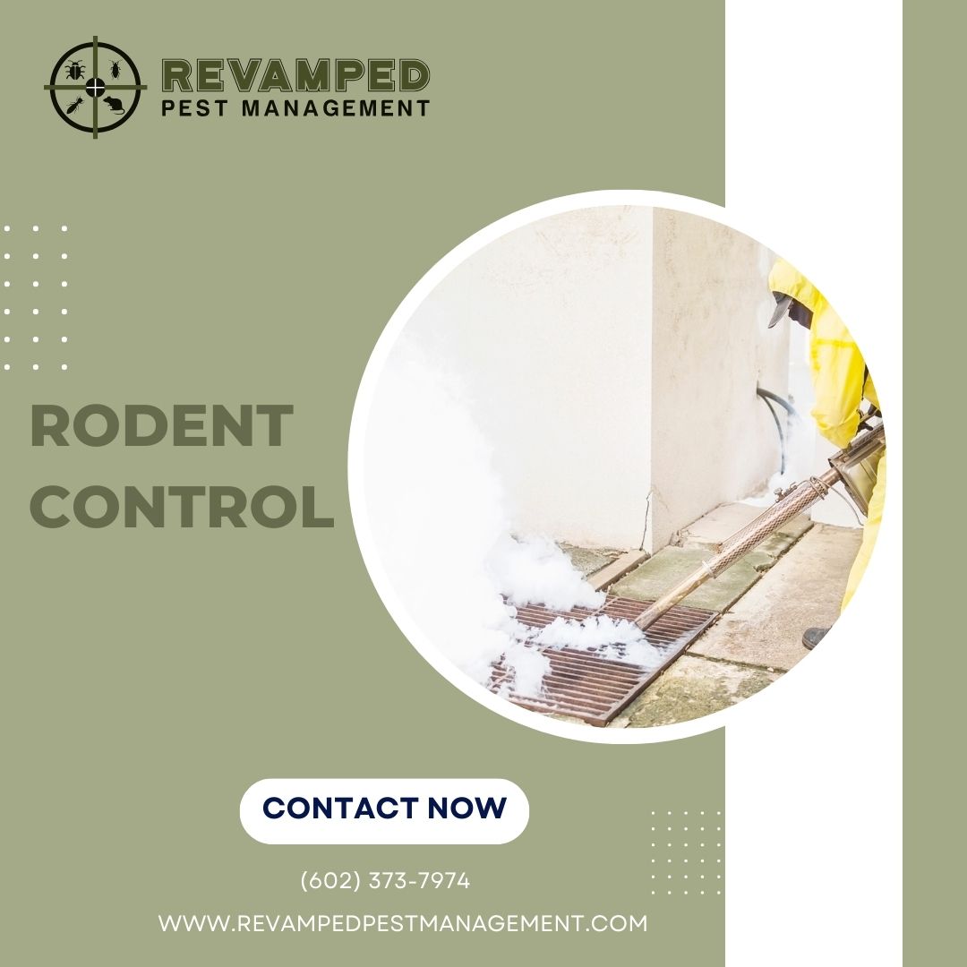 Revampedpest's tweet image. Rodents may cause considerable property damage as well as health dangers to you and your family.
#generalpestcontrol #emergencypestcontrol #commercialpestcontrol #rodentcontrol #atticinsulation #pestcontrol #specialoffer #pricedrop