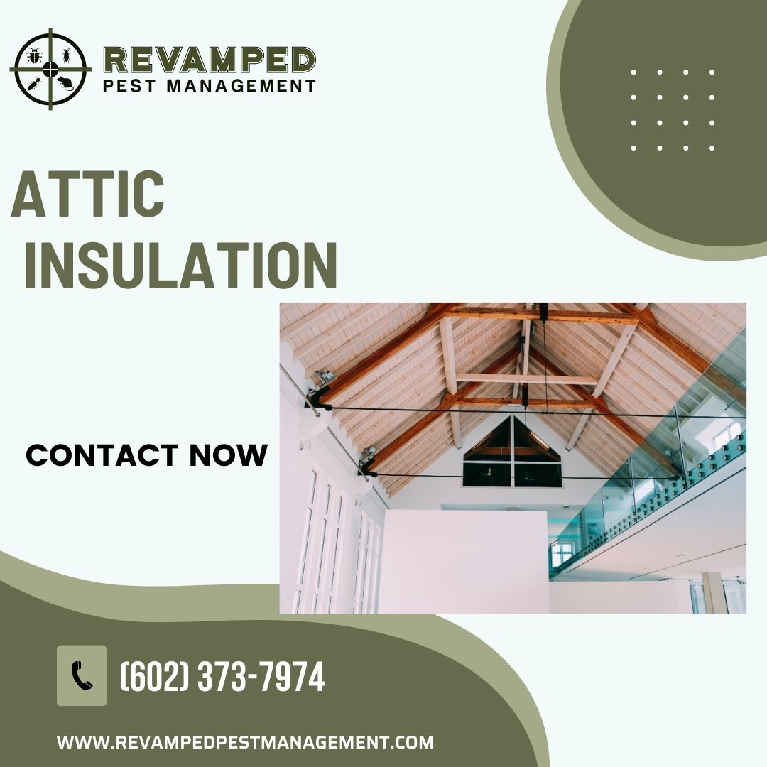 Revampedpest's tweet image. Proper insulation is essential for energy efficiency and preventing pests from entering your house.
#generalpestcontrol #emergencypestcontrol #commercialpestcontrol #rodentcontrol #atticinsulation #pestcontrol #specialoffer #pricedrop