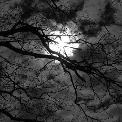 Nancy Oosterbaan tweet media