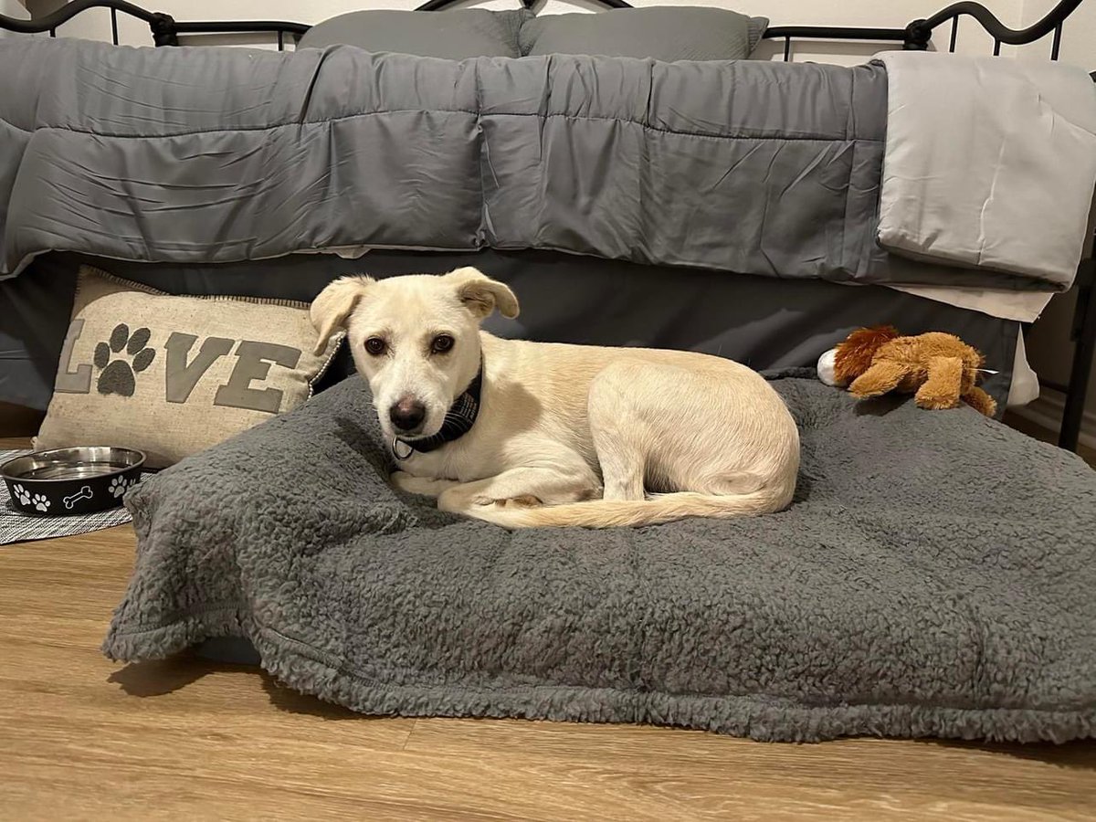Welcome to your happily ever after, Snow! You are so loved!