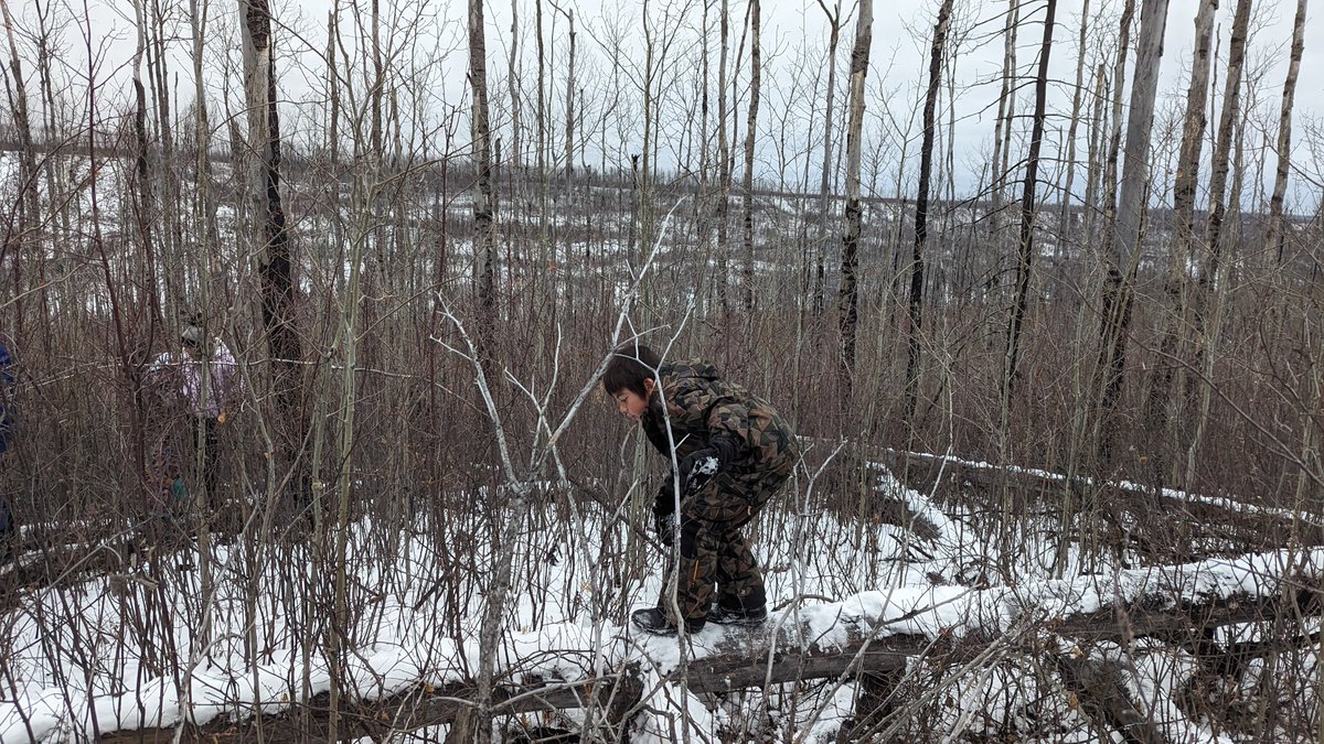 What pathways live in these woods? Problem solving, instinct trusting, gross motor building. Supported risky play hitting all sorts of great notes with <a href="/takemeoutside/">Take Me Outside</a> Club today! <a href="/GEOEC/">GEOEC</a> <a href="/beacon/">Beacon</a>