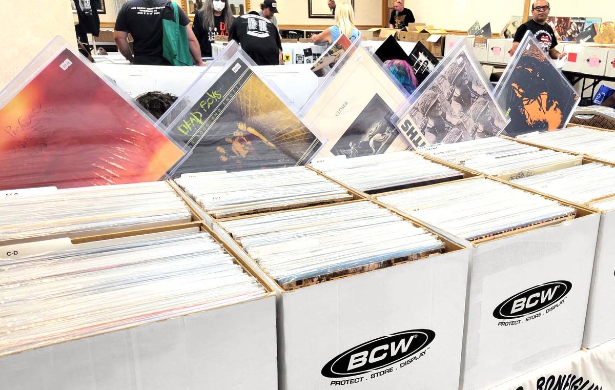 BCW Record Supplies tweet media