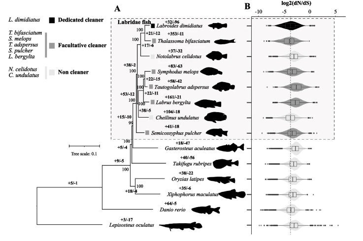 Celia Schunter tweet media
