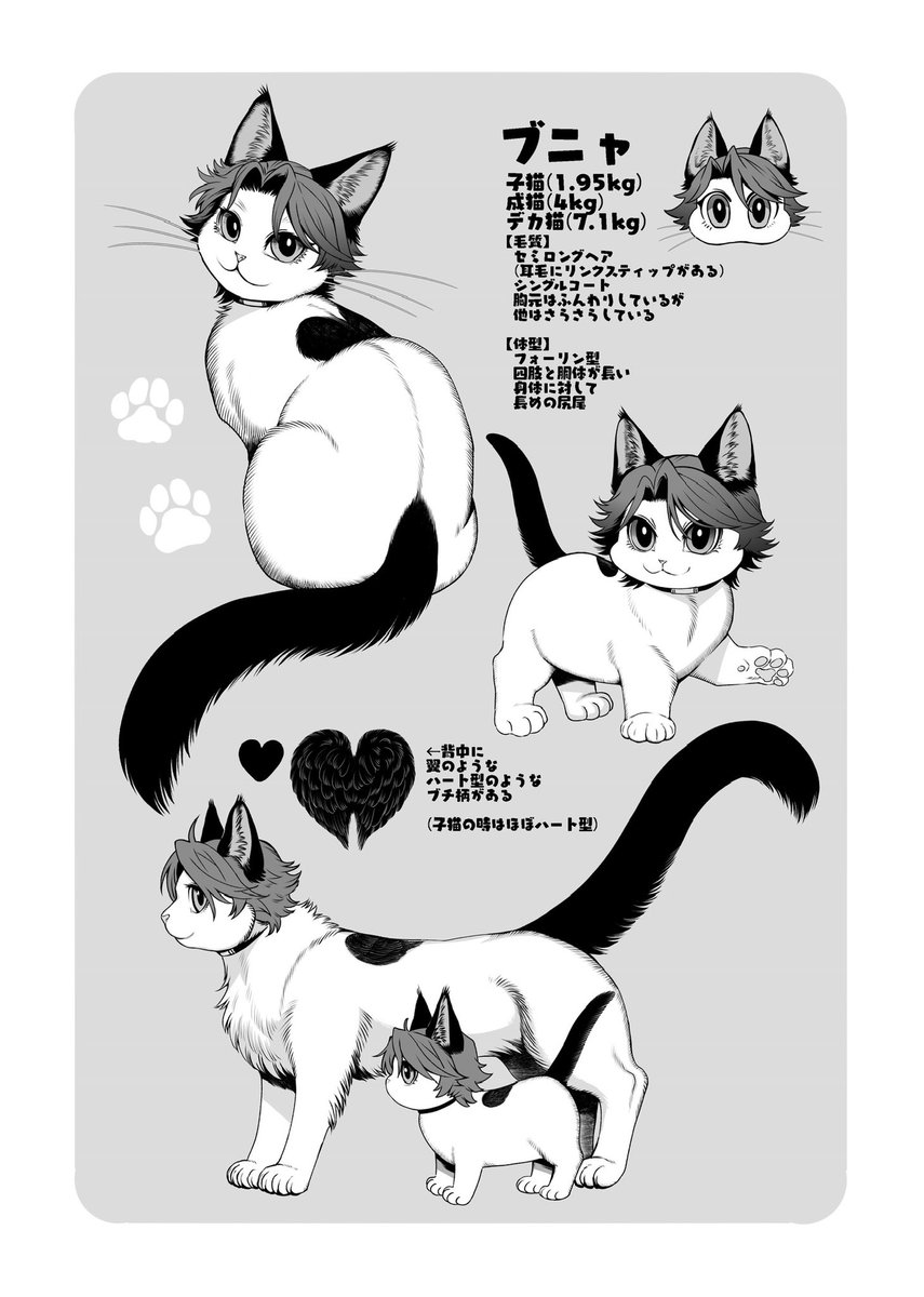 猫のキニャブニャを飼うキスブラ時空  新刊入稿してきました  不備などないかはお祈りですのだ