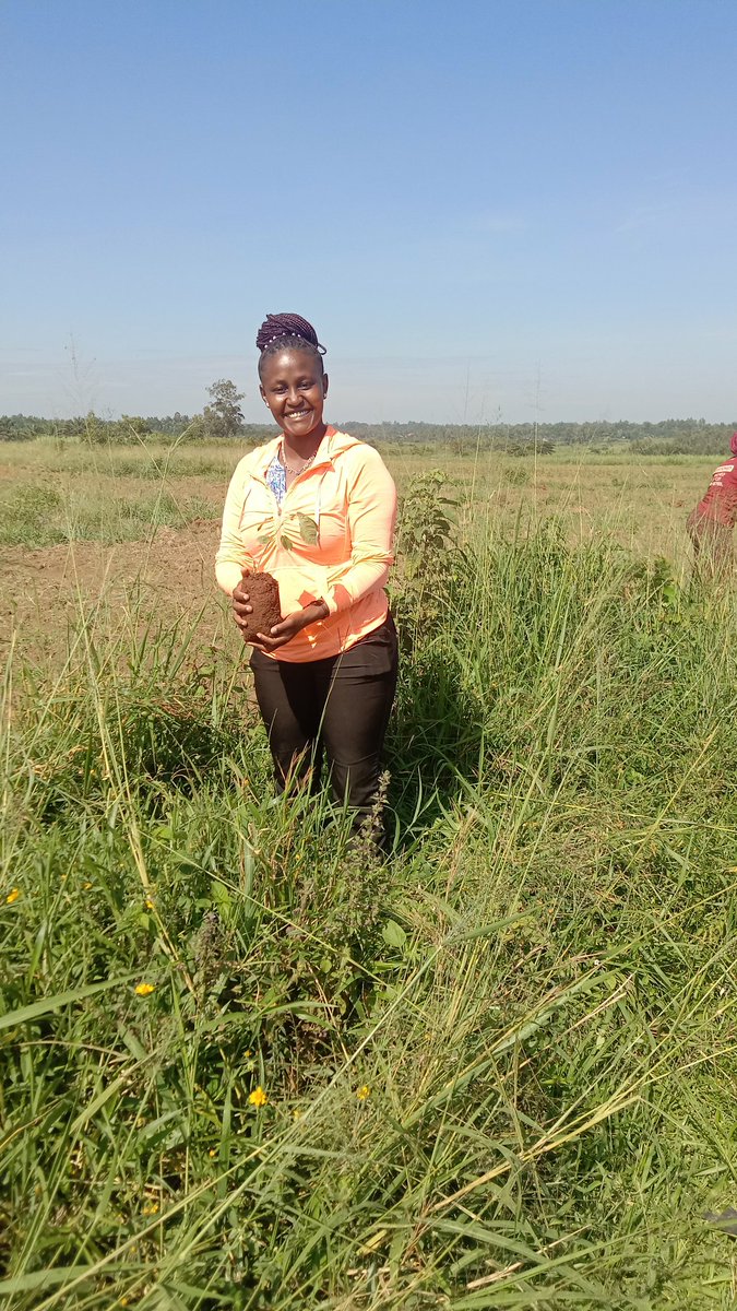 KiburuN's tweet photo. “He who plants a tree, plants a hope.”
― Lucy Larcom
#Teamwork
#TupandeMiti 
#KALROtreegrowingday
#NationalTreeGrowingDay https://t.co/seBWADq3mG