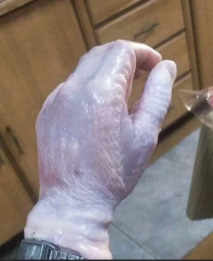 Esto es lo que pasa cuando comes pollo todos los días 🐔🙄
