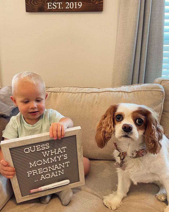 Matt Transue tweet media