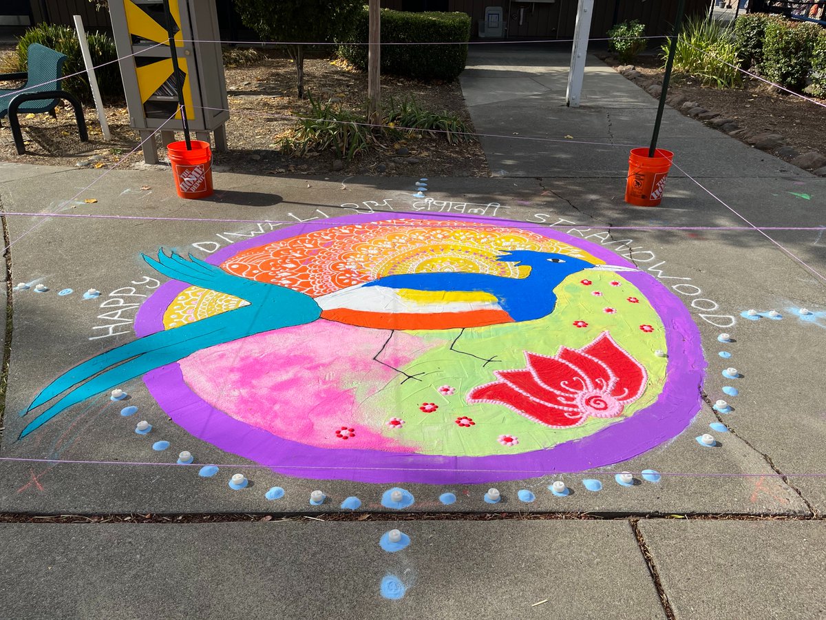 Happy Diwali! Thank you to our incredible aides and PTA for creating this incredible rangoli!