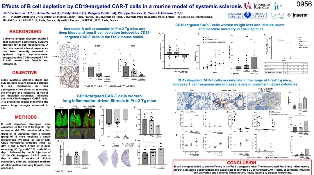 🔔 P0956 Effects of B cell depletion by CD-19 targeted CAR-T cells in murine models of systemic sclerosis 🔷 B-cell therapies failed to show efficacy in the Fra2 transgenic mice 🔷 The exacerbated Fra-2 lung inflammatory burden stimulated activated CD-19-targeted CAR-T cells CS