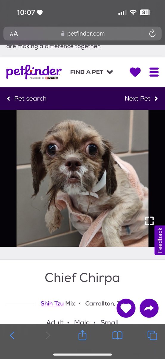 i would give my life for him