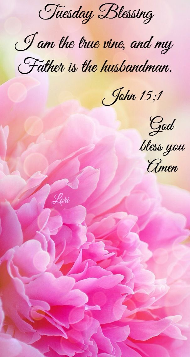 Dianne__LadyD's tweet photo. #TuesdayBlessings #TwitterFriends 

❤️Have A Magnificent Tuesday! https://t.co/3xFf6kAtUI
