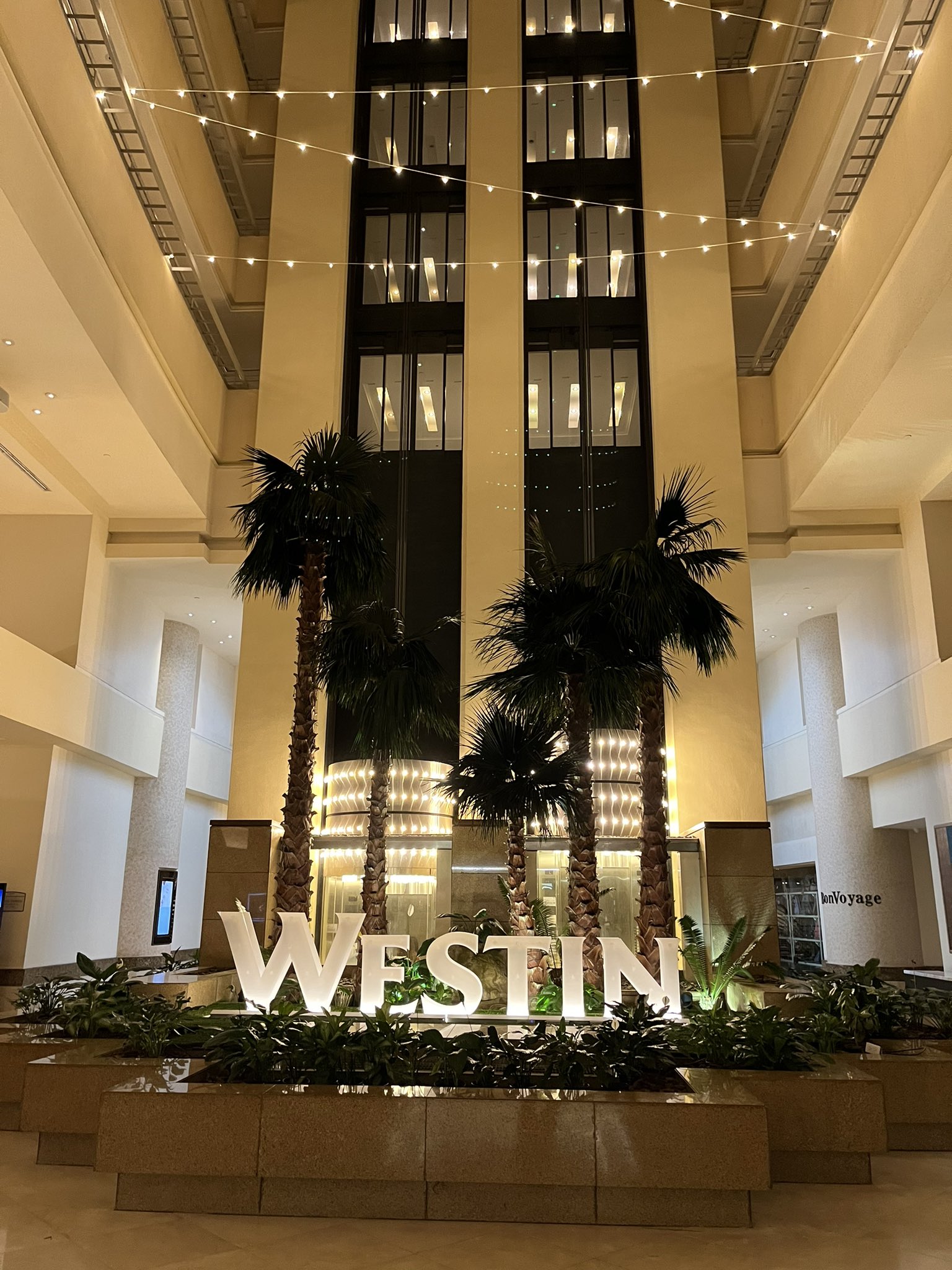 ♡確認ページ FreenBecky」のYahoo!リアルタイム検索 - X（旧Twitter）を