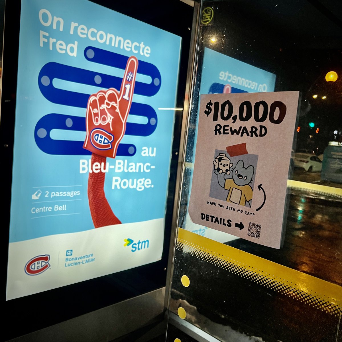 ODEKA_eth's tweet photo. MISSING 🔔 Have you seen Blue? He is still missing…
I had to give a hand to @coolcats in my neighborhood and put up a few posters #wheresblue https://t.co/fHoyJ5Itzg