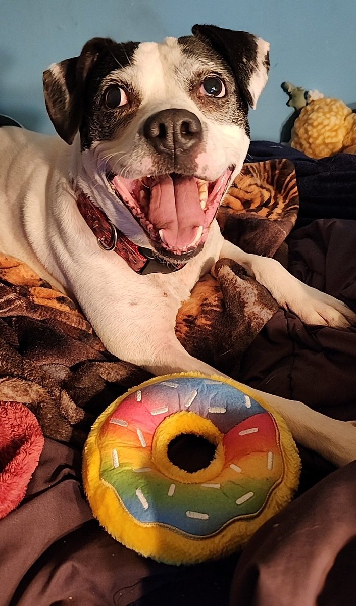My handsome happy Dilly🥰🥰🥰