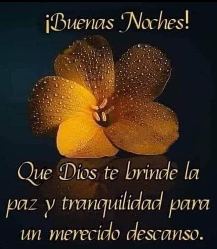 Lupe Monroy (@lupemonroy6) on Twitter photo 