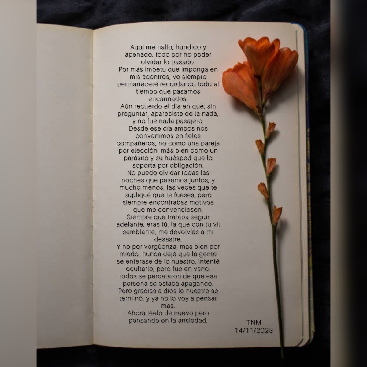 Últimamente me esta dando por escribir de nuevo 🥹❤️‍🩹