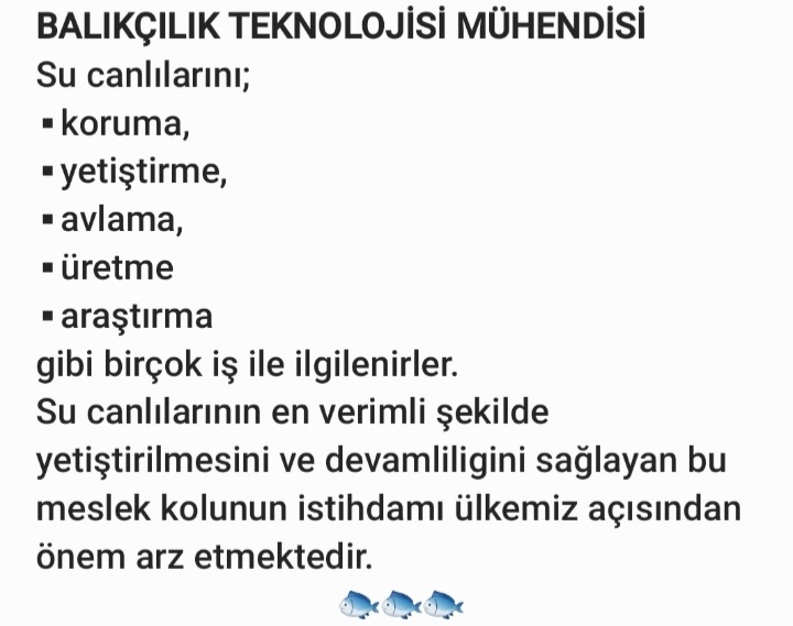 <a href="/maatalay/">Dr. M. Altuğ ATALAY</a>