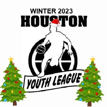 Houston Youth League tweet media